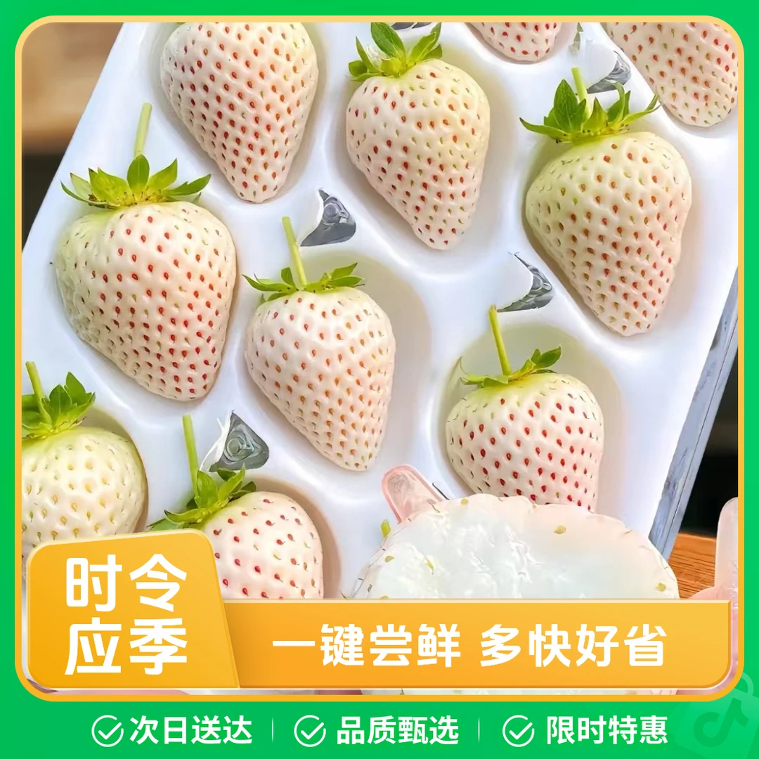 （礼盒装）强烈推荐【【河南中牟姚家镇白雪公主草莓】】特大果2盒750g白雪公主草莓中国大陆