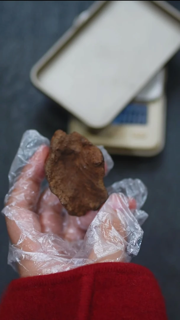 沉香沉香碎屑富森红土包头沉水18.94克