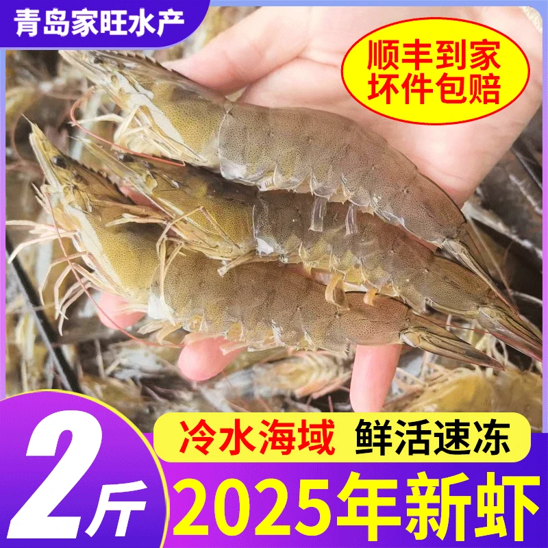 正宗青岛大虾鲜活冷冻新鲜海水虾生虾对虾青虾鲜虾海鲜水产虾类