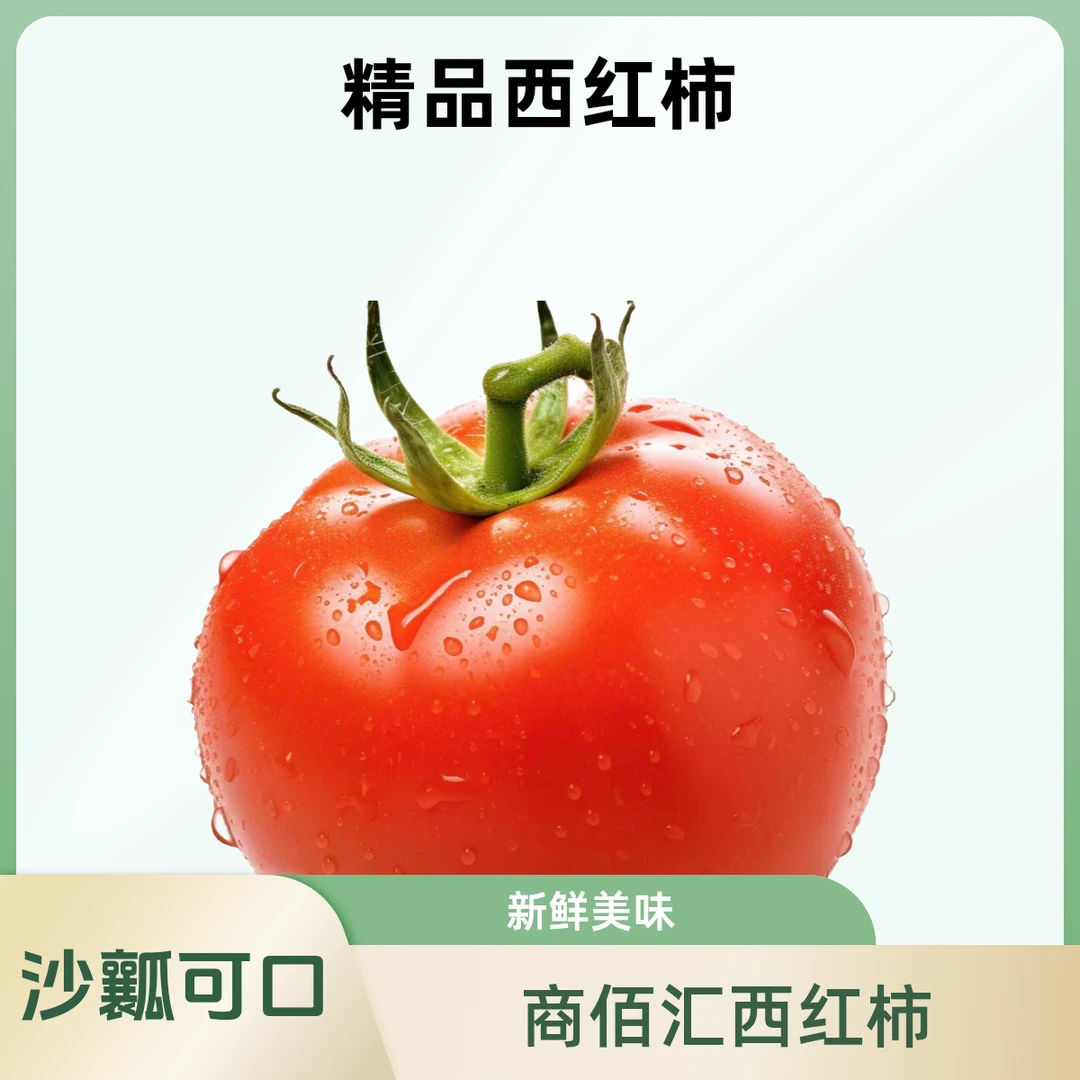 新鲜西红柿沙瓤西红柿山东省