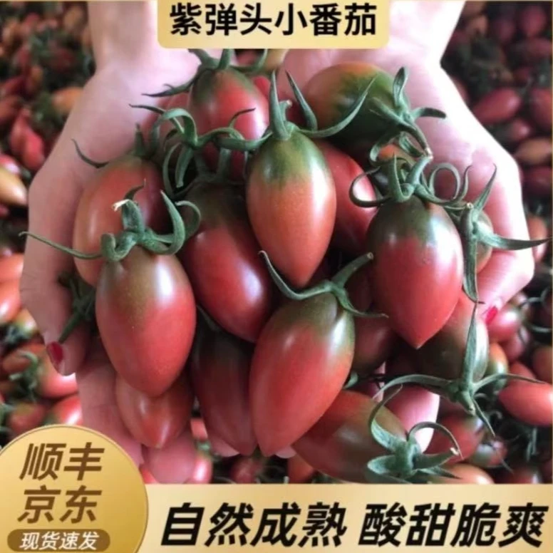 京东EMS空运包邮紫弹头小番茄新鲜多汁脆甜圣女果当季水果现摘发