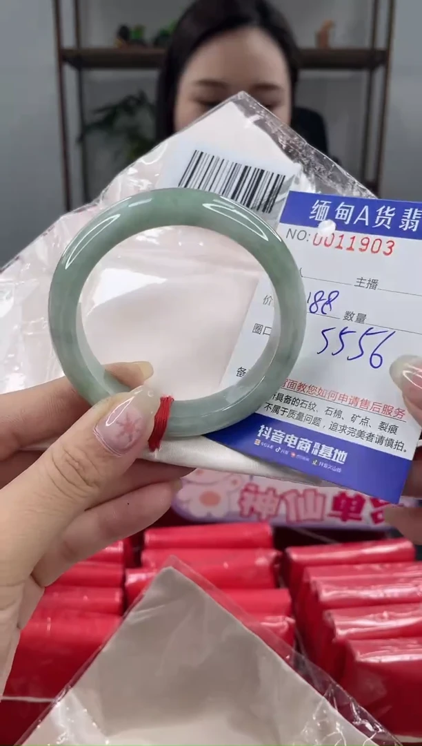 未镶嵌手镯翡翠