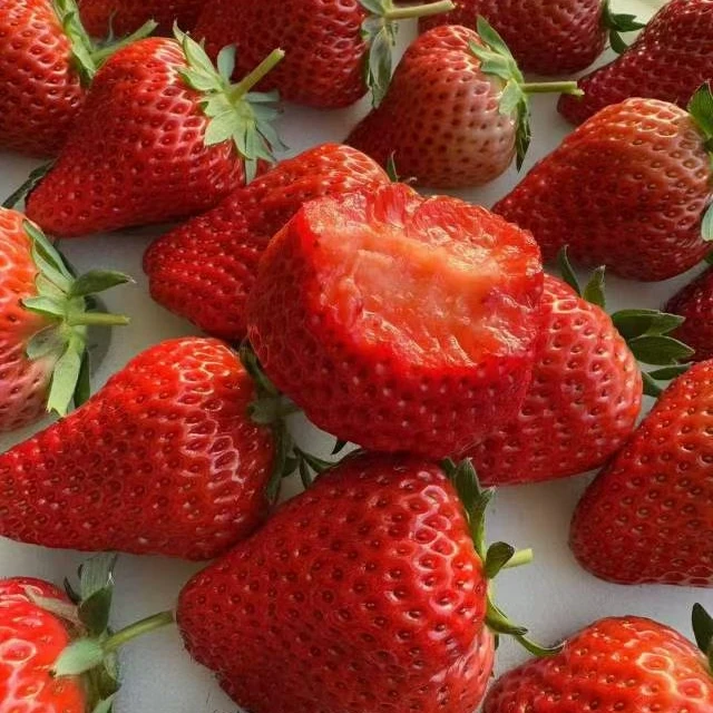【丹东99草莓年终大促】辽宁99草莓酸甜可口香味浓郁口口爆汁辽宁省