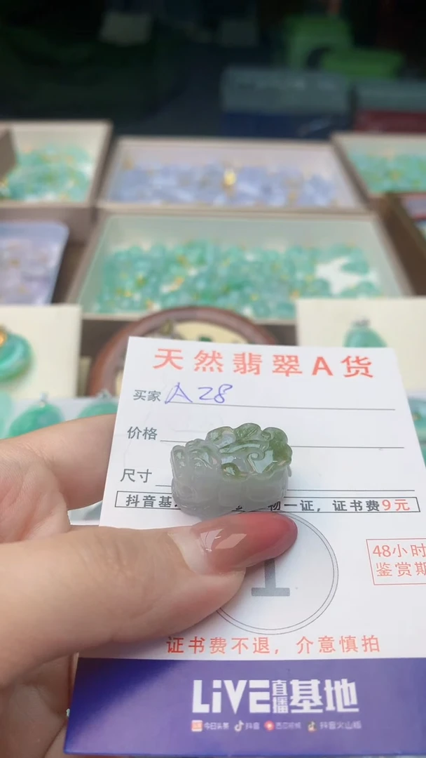 颈饰未镶嵌翡翠天然A货翡翠挂件