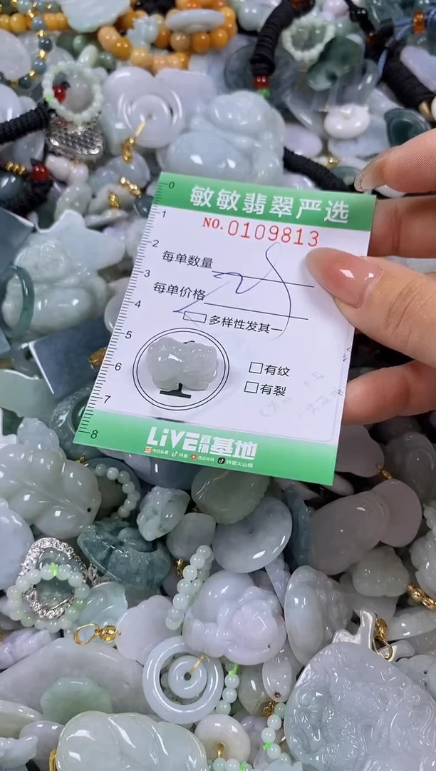 【闪购商品】翡翠颈饰未镶嵌闪购0109813多样性发其一