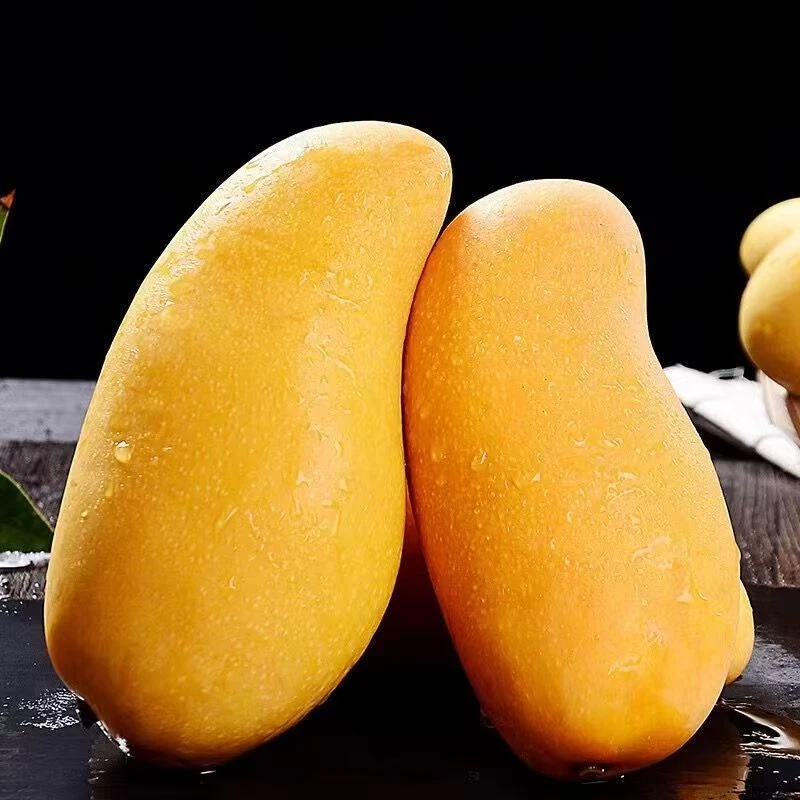 新鲜芒果1kg（مانگو ）新疆维吾尔自治区