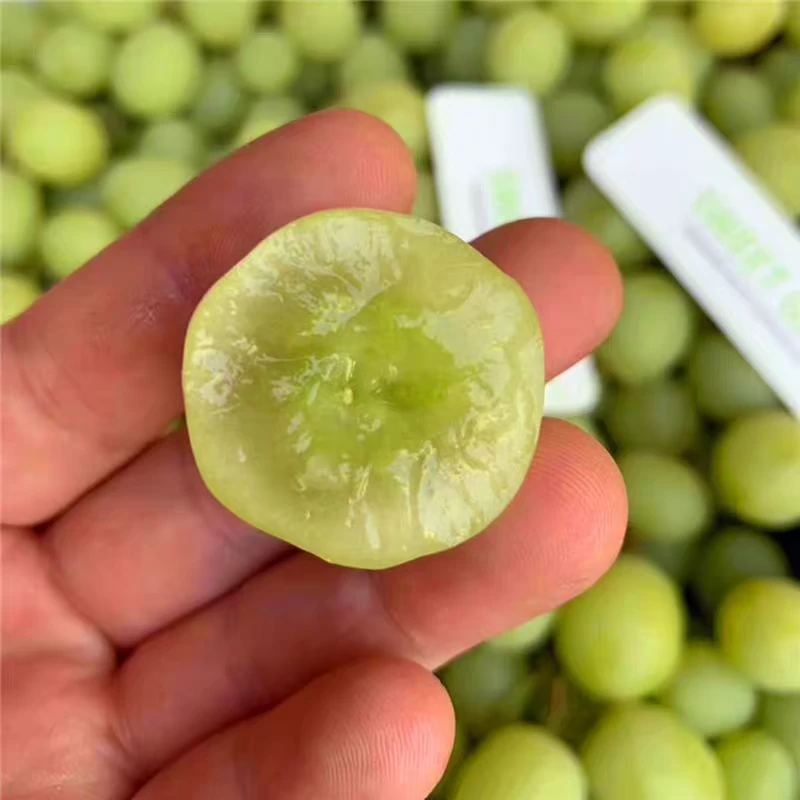 【果然好】澳大利亚空运脆甜无籽提子进口葡萄新鲜水果包邮