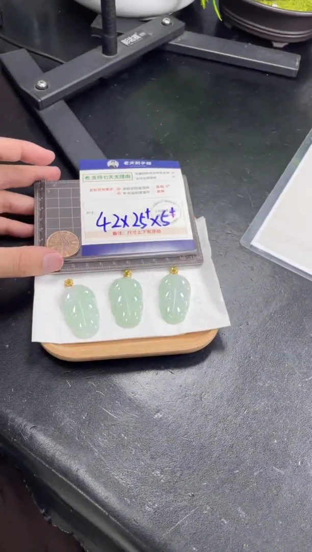 翡翠挂件18K金镶嵌叶子FL9配绳/多样性发其一ZBCP