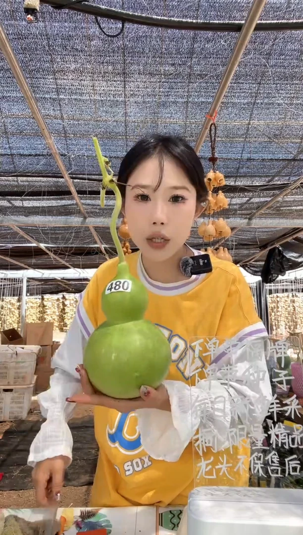 480天然葫芦摆件 一物一拍龙头不保售后