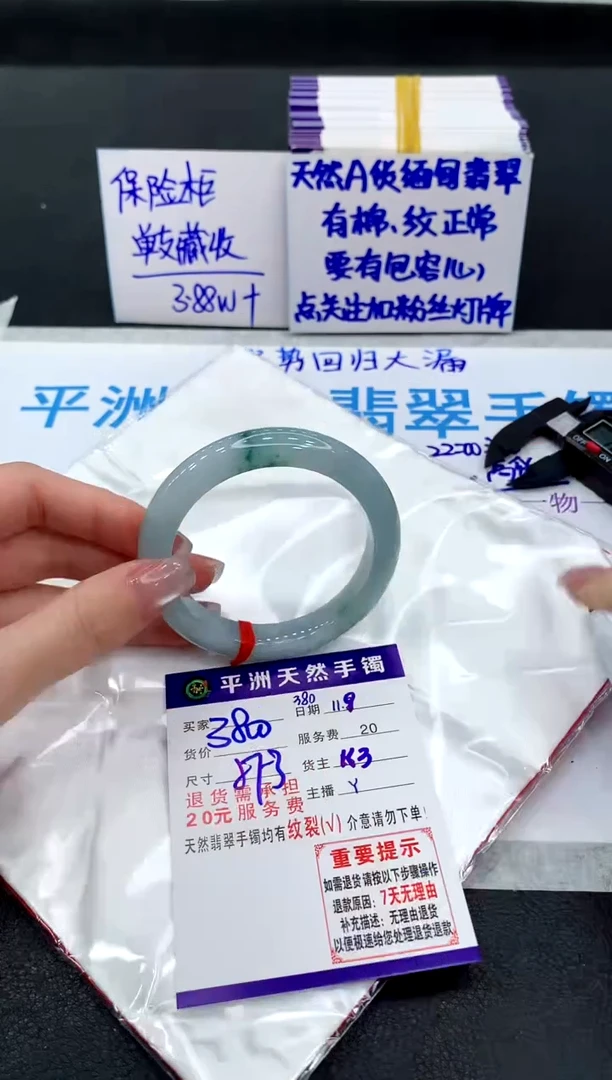 未镶嵌手镯翡翠11111111