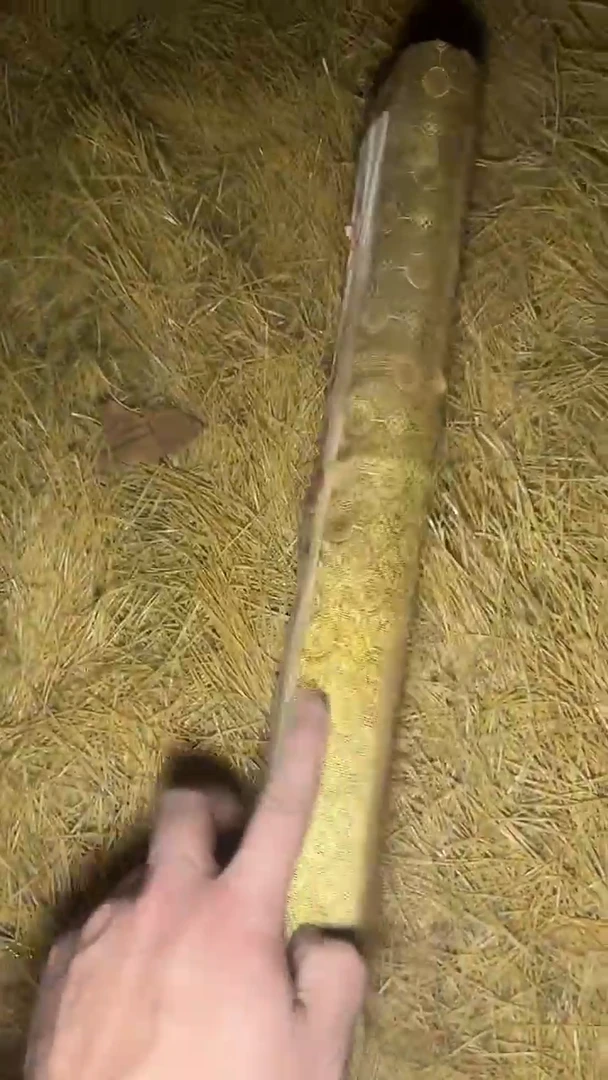 木质【闪购】——————大福利