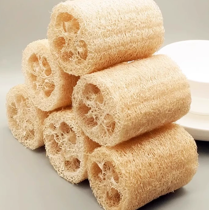 晒干丝瓜络可泡水使用搭配金银花