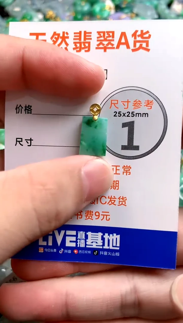 颈饰未镶嵌翡翠26100554