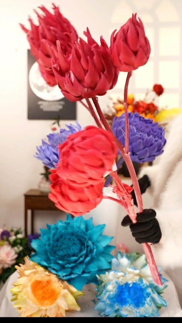 洋蓟永生花     A62