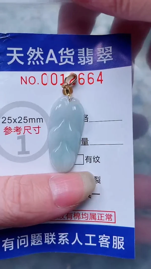 翡翠未镶嵌吊坠(不含链)1