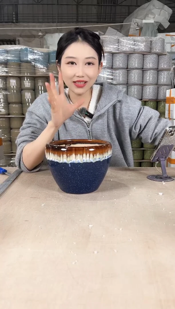 【闪购商品】陶瓷苹果紫雪花中号20x15