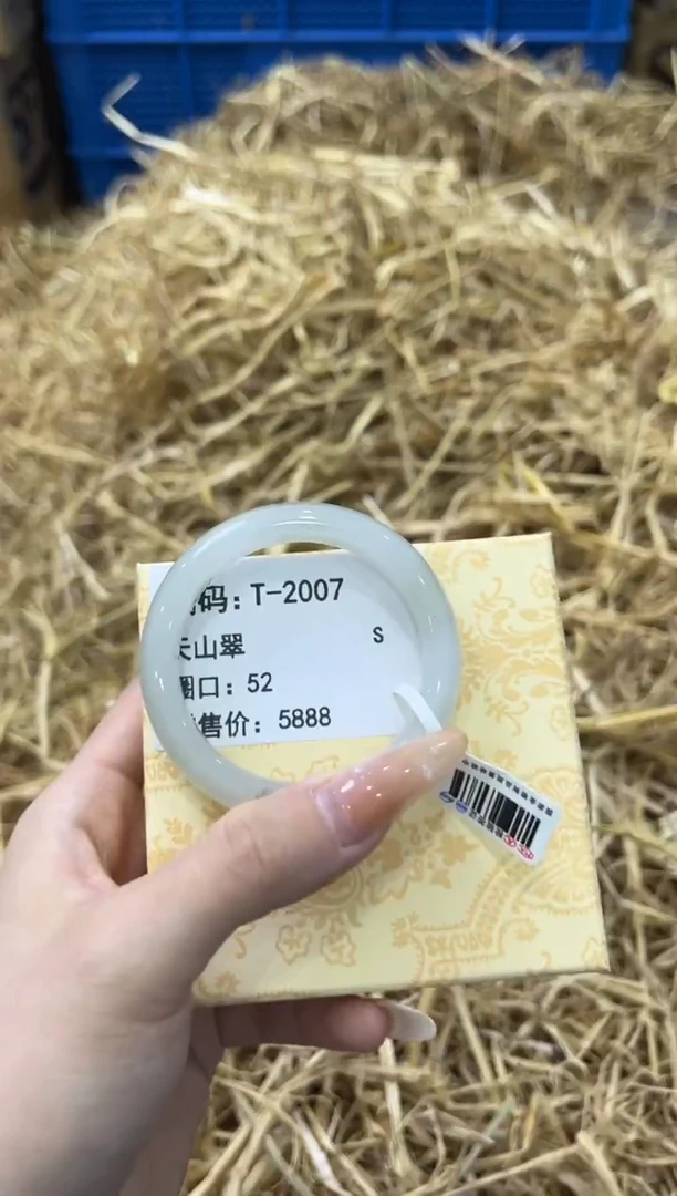 未镶嵌手镯石英质玉T-2007