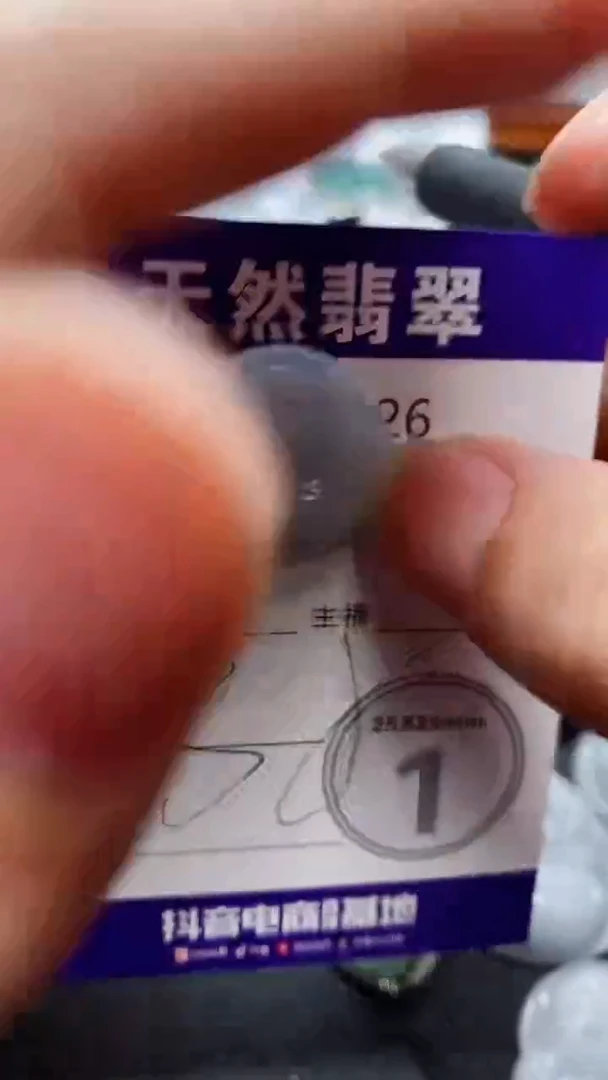 翡翠未镶嵌吊坠(赠链)926