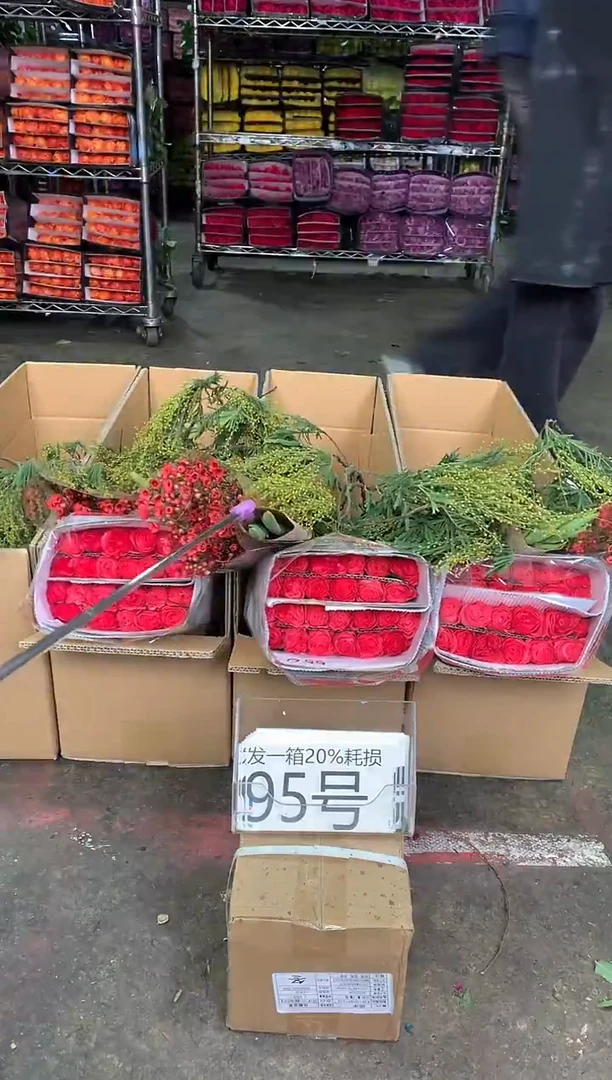 95号♥中通含20%耗损发一箱鲜花