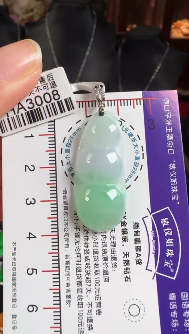 颈饰18K金镶嵌翡翠HA3008富贵豆