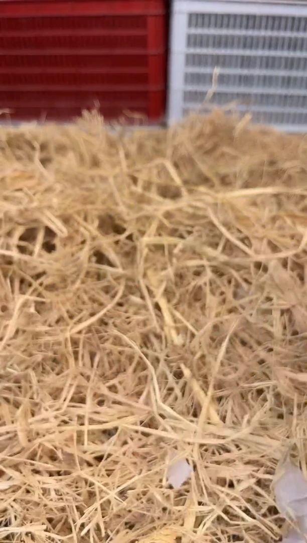 未镶嵌手镯石英质玉编号D-0094