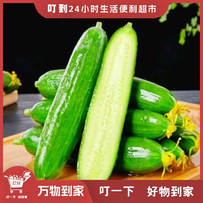 【新鲜爽口】小乳瓜小黄瓜水果小青瓜500g/1斤装脆甜生吃小黄瓜