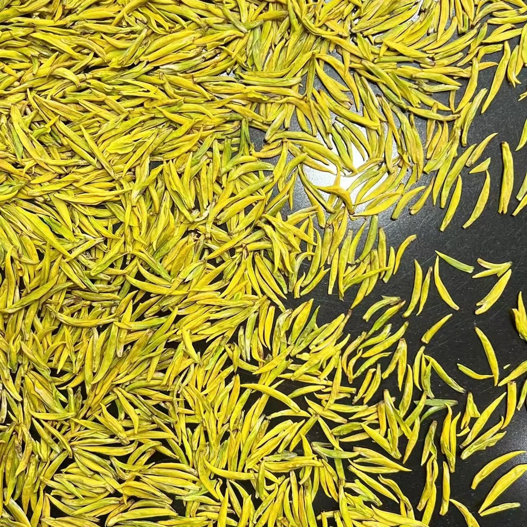 2025新茶奶白黄金芽高山小芽浓香耐泡兰花香