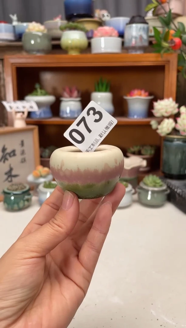 瓷片073知木小芳花盆