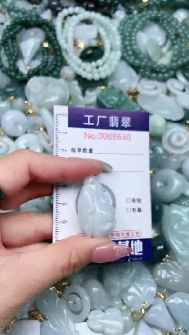 【闪购商品】翡翠颈饰未镶嵌翡翠