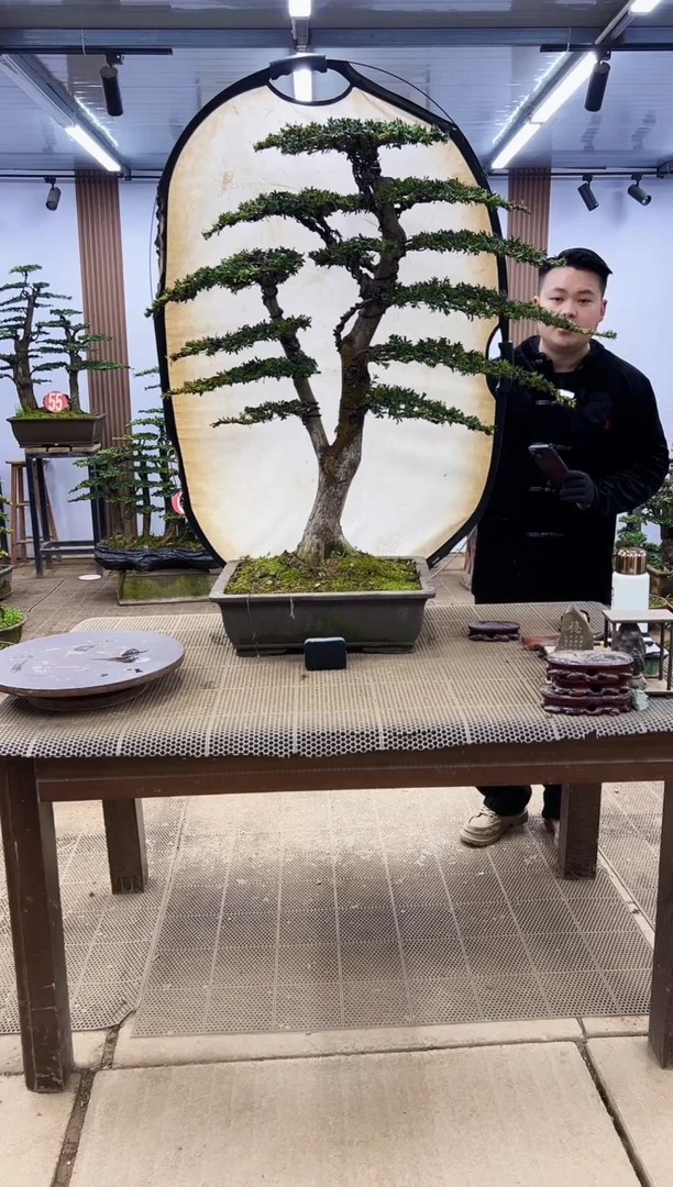 【闪购商品】000000000