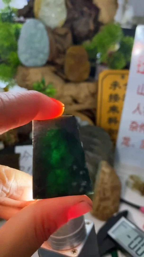 【闪购商品】翡翠颈饰未镶嵌料子钱021