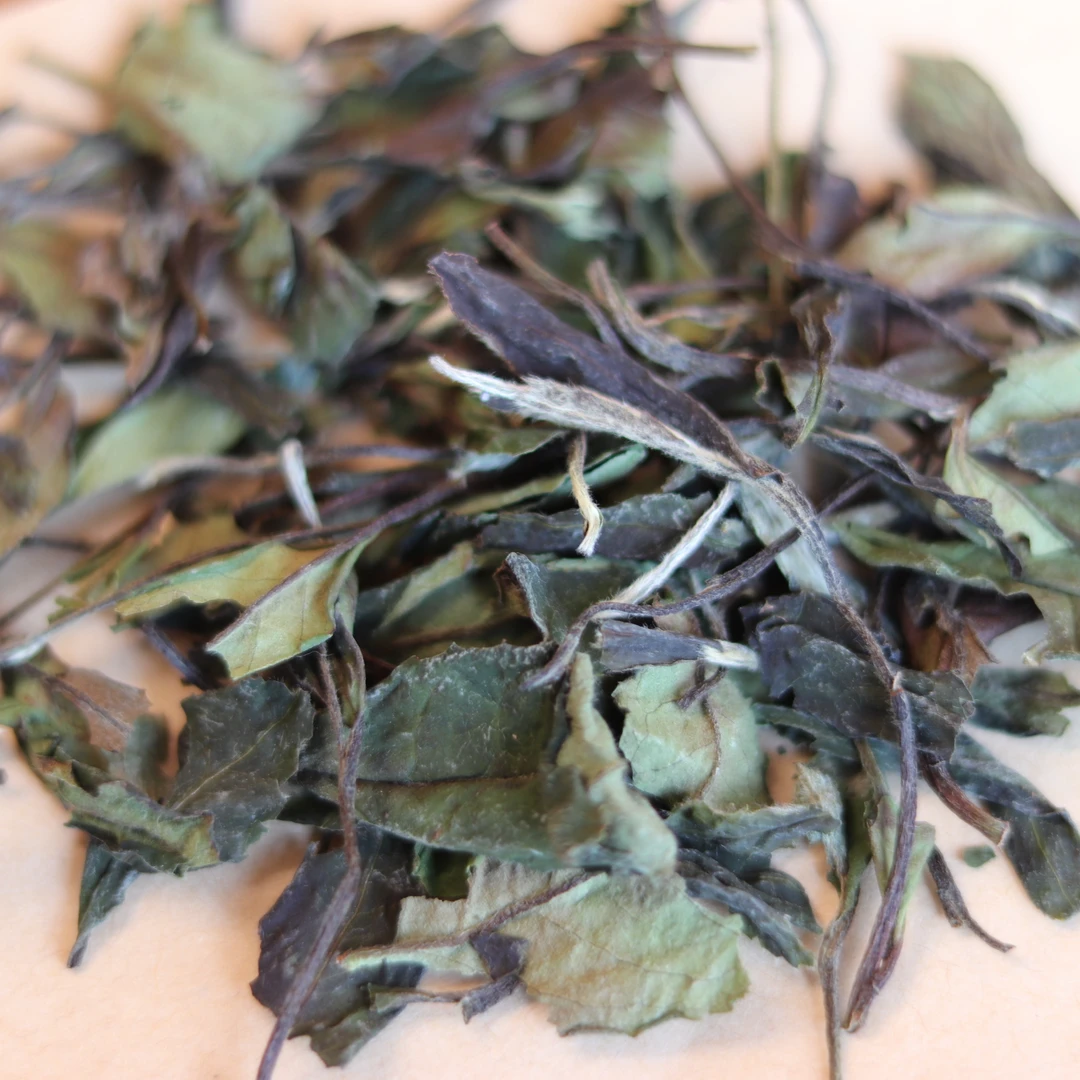 惜羽24年春寿眉福鼎白茶日光萎凋散茶50克高山日晒