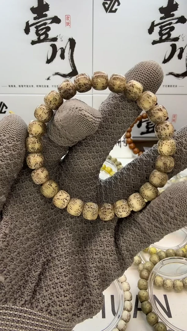 手串星月菩提9/8  冰糖玉化 星点货 同枝果 C34