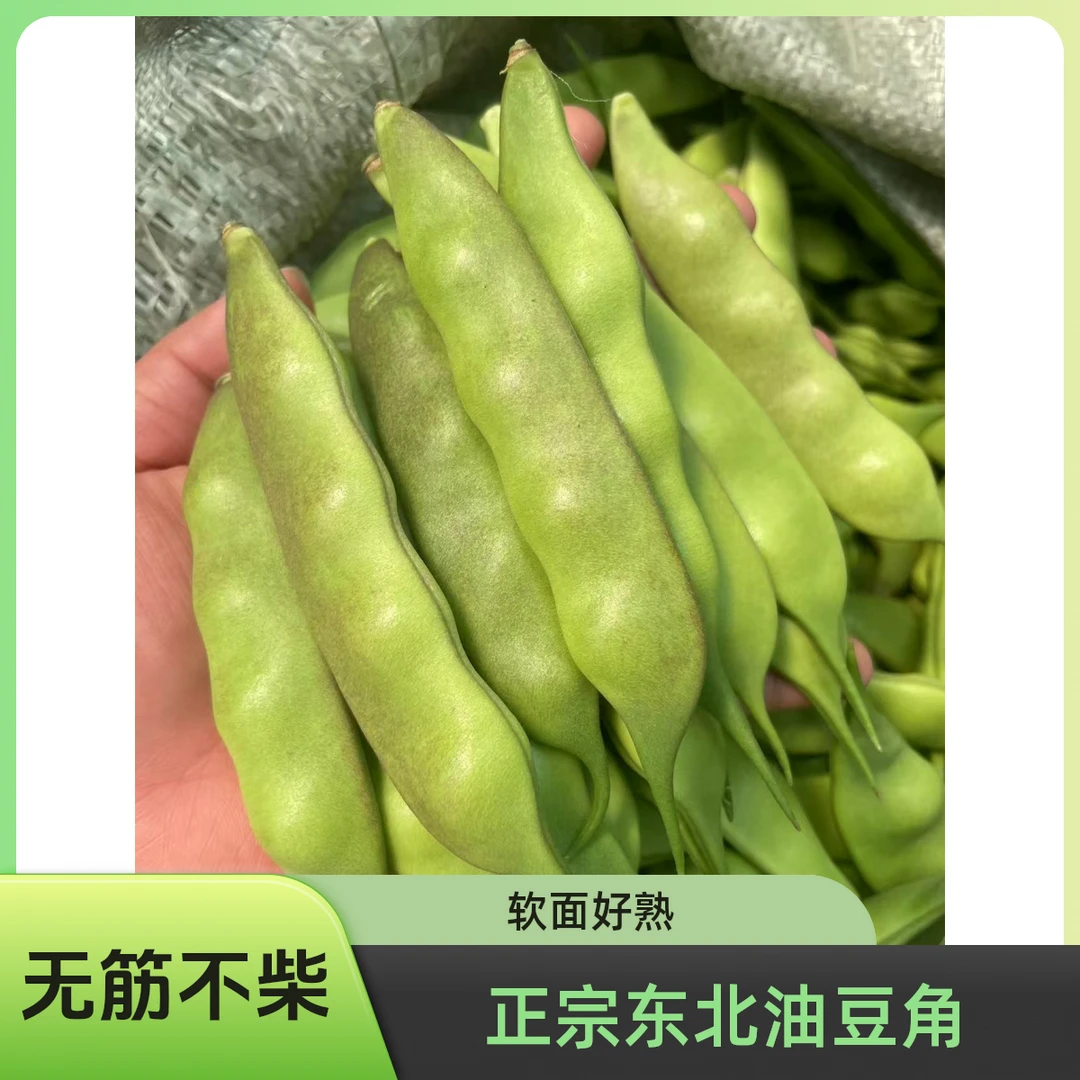 【京东】正宗东北油豆角九月青现摘现发无筋不柴四季豆软面好熟