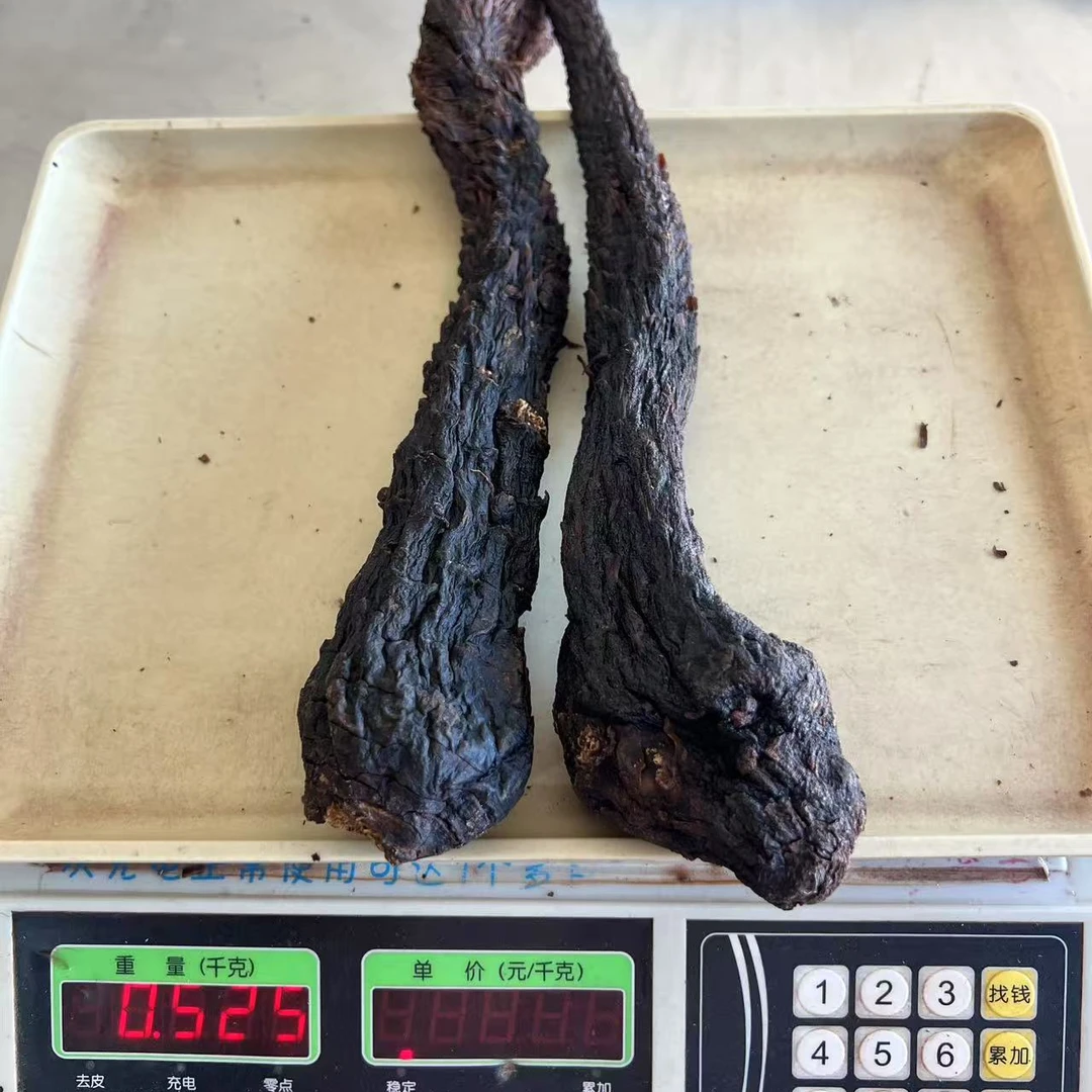 蒙漠原（3-5年生）荒漠【苁蓉】代茶饮整根