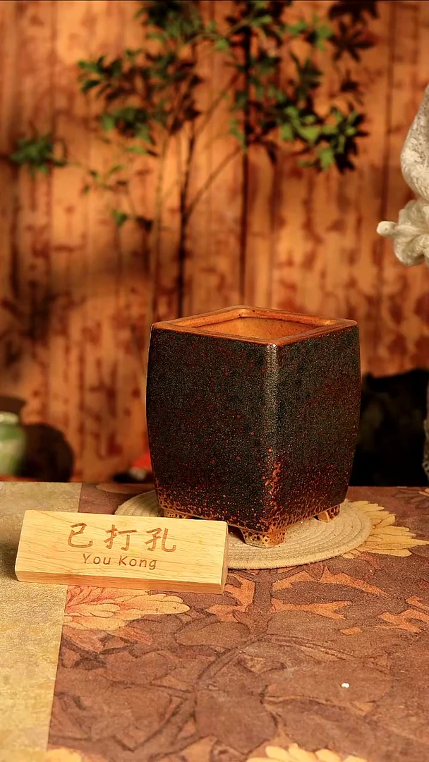 陶10-226高度18口径11已打孔