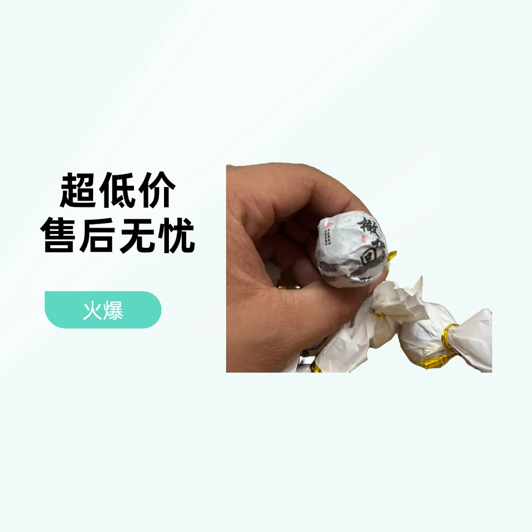 2024年橄榄回古树龙珠 头春 ——生茶