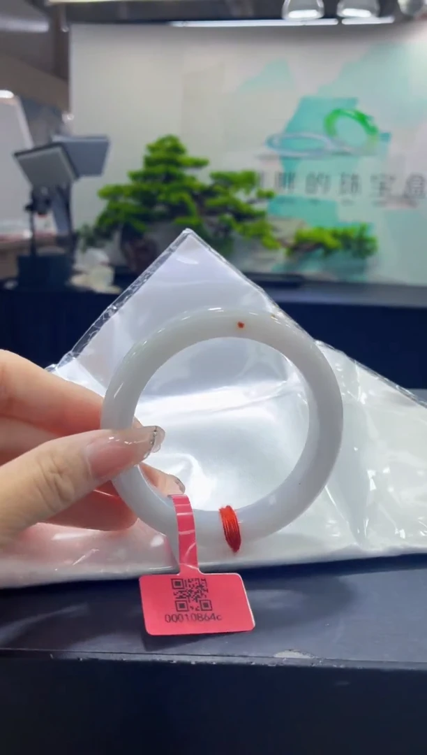 未镶嵌手镯翡翠9