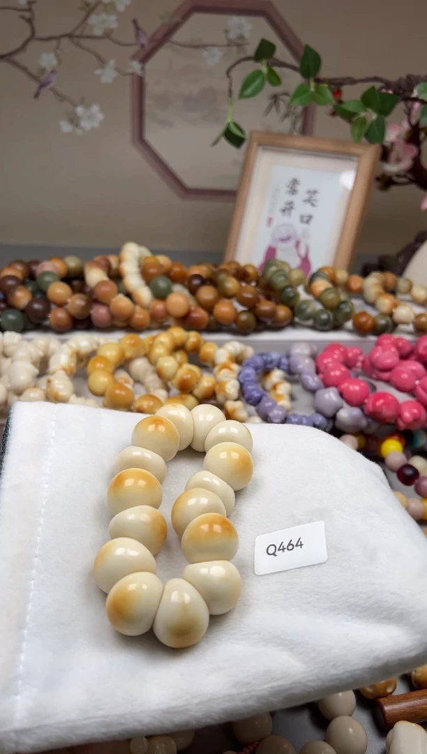 手串菩提根/象牙果尼**米Q464牙果蒜瓣肠23mm一串通货