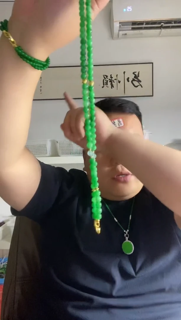 翡翠14K金镶嵌颈饰51项链