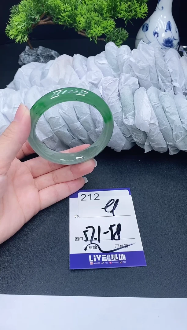 未镶嵌手镯翡翠212