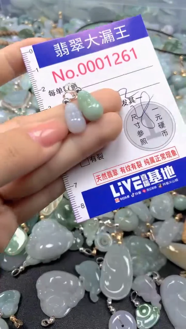 颈饰未镶嵌翡翠1261