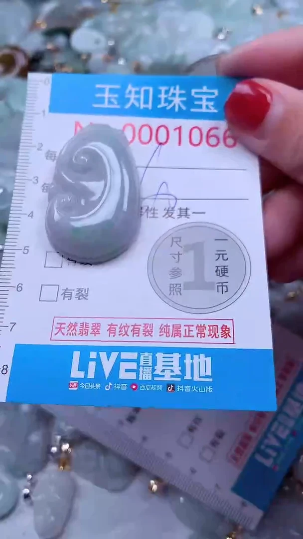 吊坠(不含链)未镶嵌翡翠1066