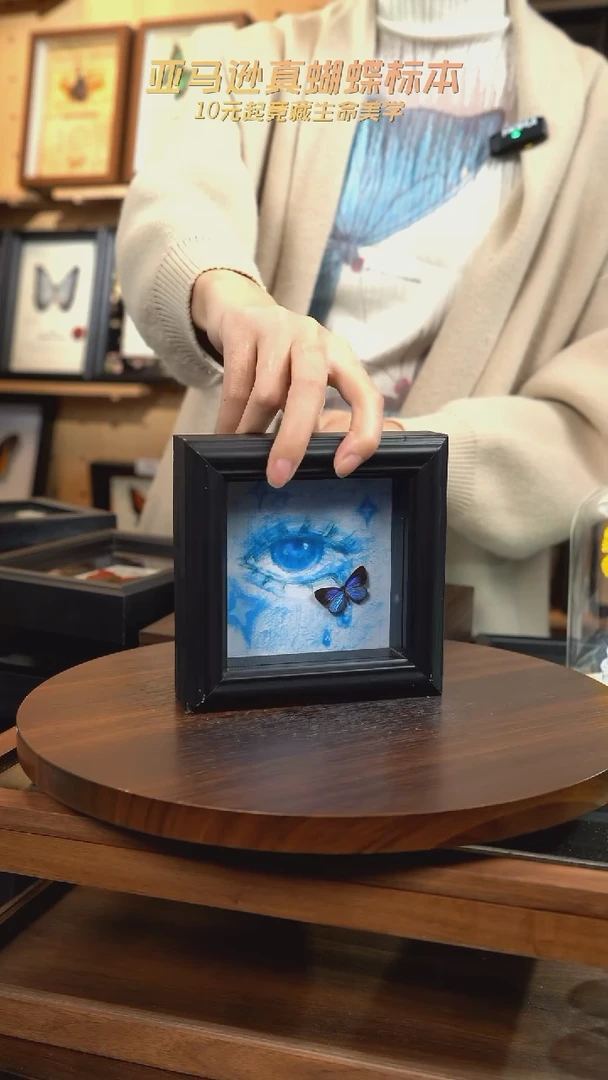 雅灰蝶蓝眼泪4寸方框