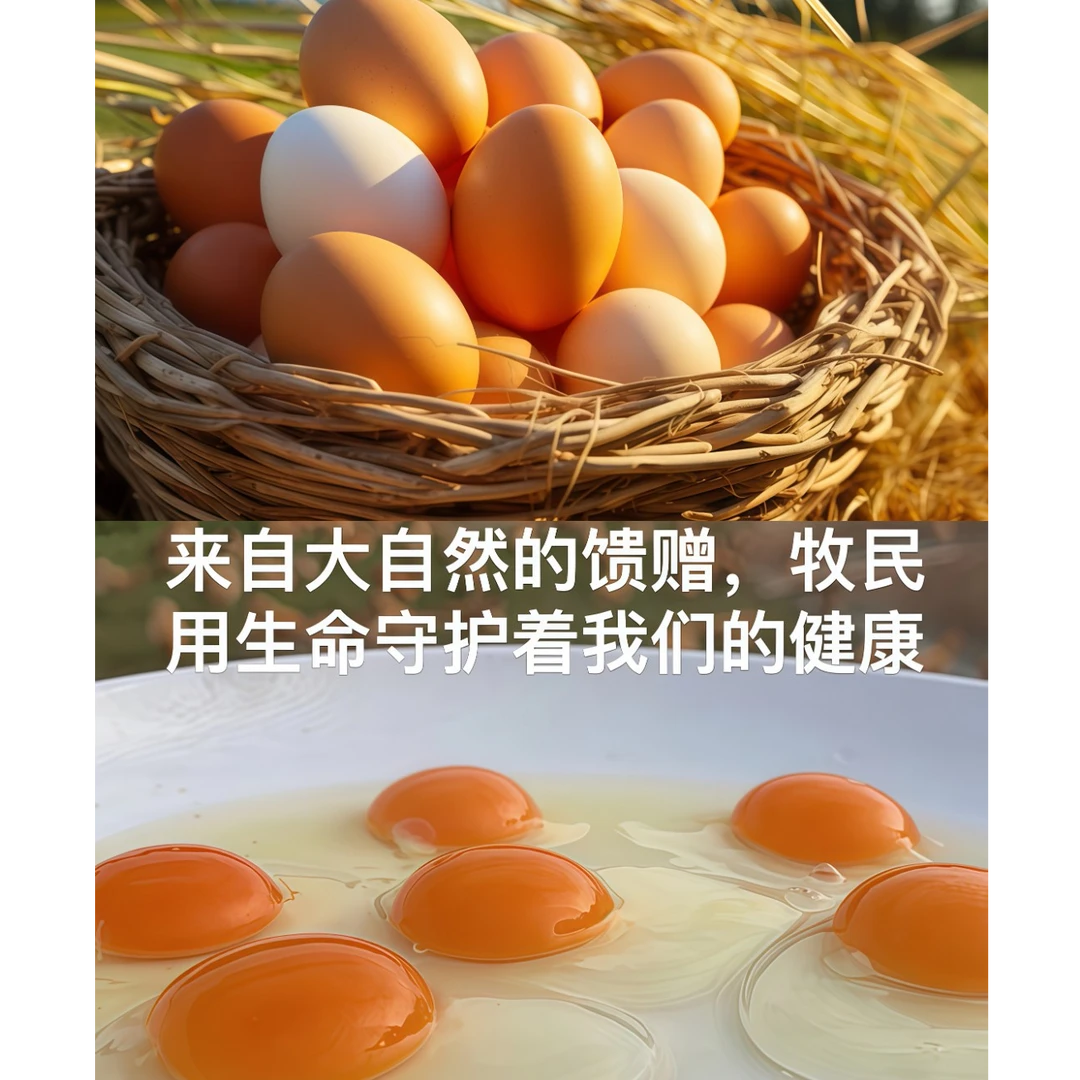 叶黄素鸡蛋顺丰包邮，内蒙古鸿嘎鲁叶黄素鸡蛋30枚