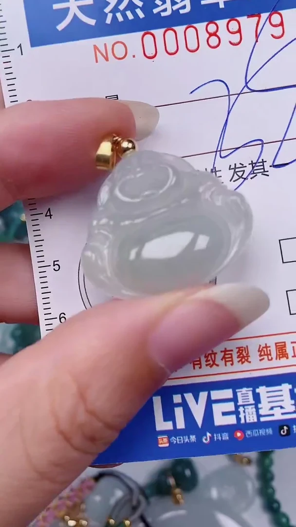 翡翠未镶嵌颈饰00008979