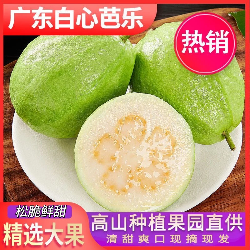 （松脆）广东现摘现发白心珍珠番石榴脆甜可口新鲜维生素c水果