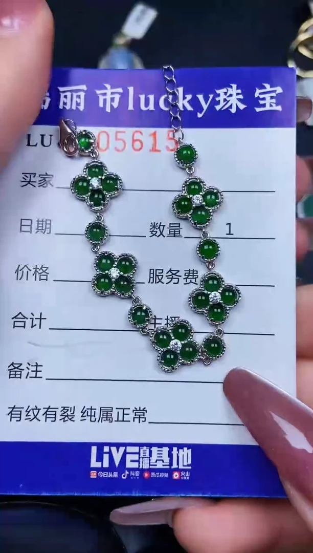 翡翠银S925镶嵌颈饰5615