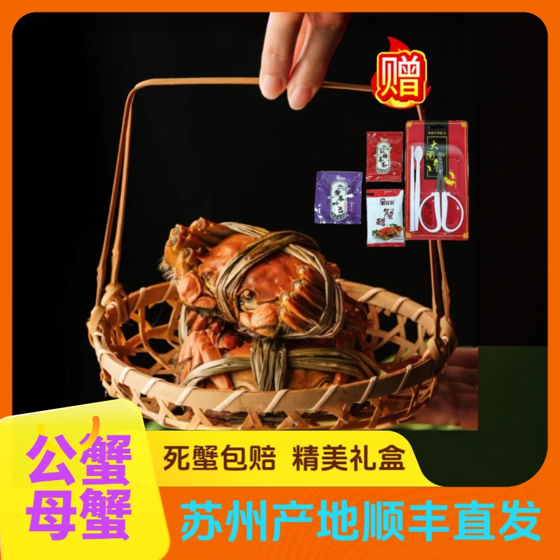 【4.0-3.7两公蟹+4.0-3.7两母蟹 可选单全母】大闸蟹8/10只  顺丰鲜活大闸蟹