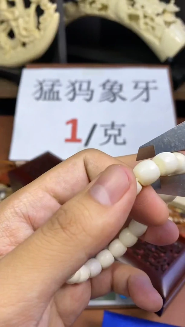 猛犸独独金标10*9直切单圈